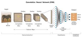 Formation intermédiaire en Réseaux de Neurones Convolutifs (CNN)